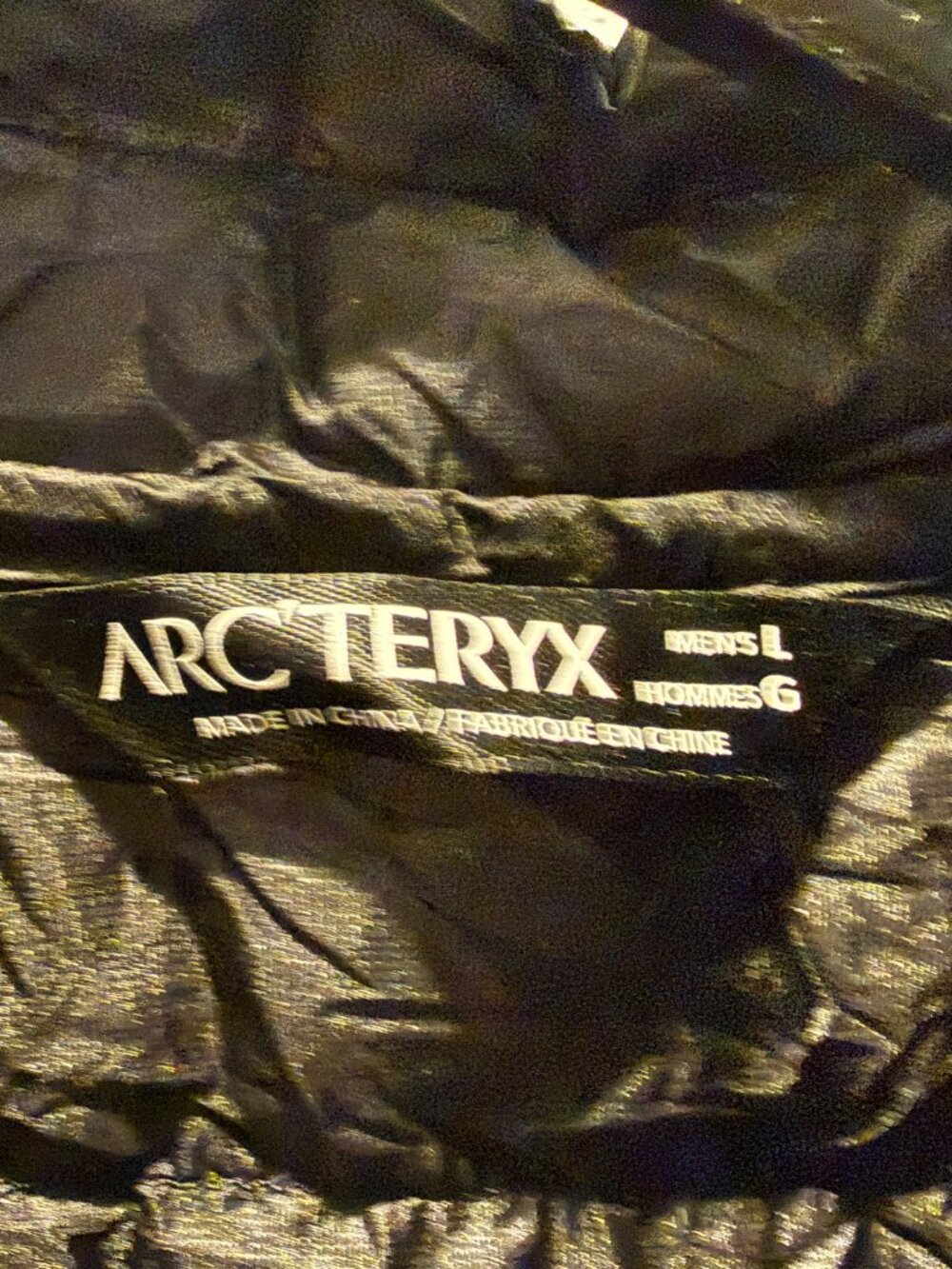 Arc'teryx Cerium Vest Men's Lightweight Warm Puffer Down Vest Black, Large - Picture 4 of 10